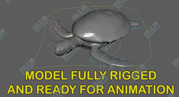 images/goods_img/20210312/Green Sea Turtle RIgged 3D model/3.jpg